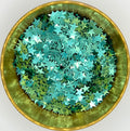 Starman 1/4” Metallic Green Biodegradable Glitter